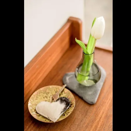 Altstadtherz Apartment Lindau (Bodensee)